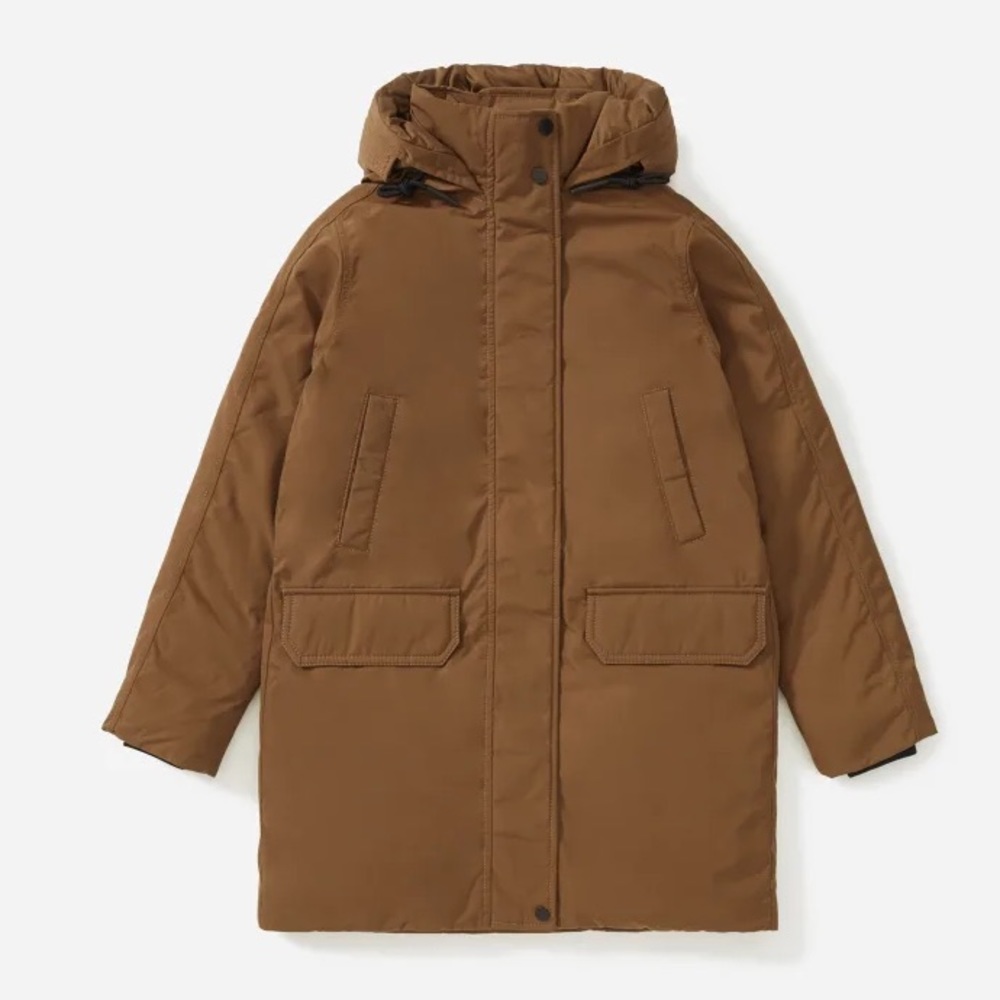 Everlane Renew Military Parka